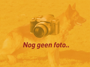 Geen afbeelding